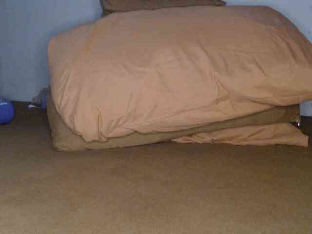 lexianna818 webcam