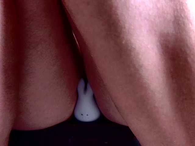xmileygreyx live cam on BongaCams