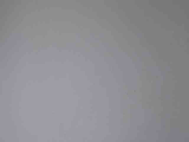 ke-moll webcam