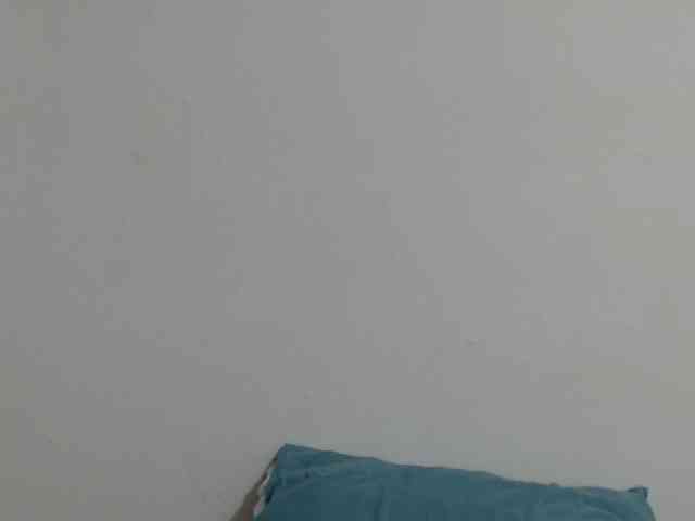ke-moll webcam