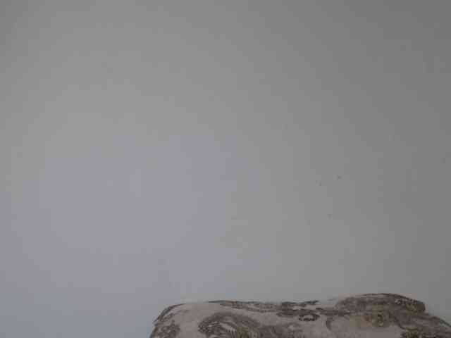 ke-moll webcam