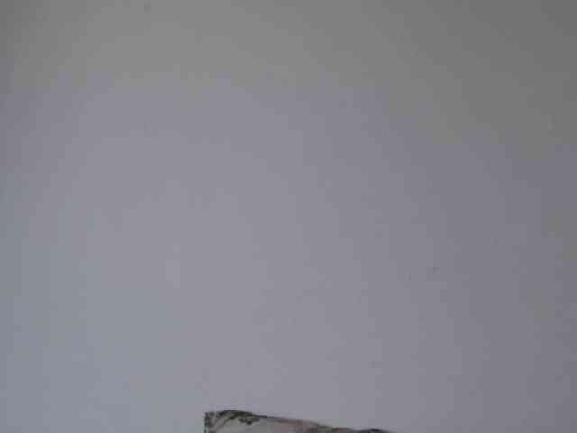 ke-moll webcam