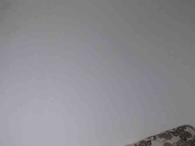 ke-moll webcam