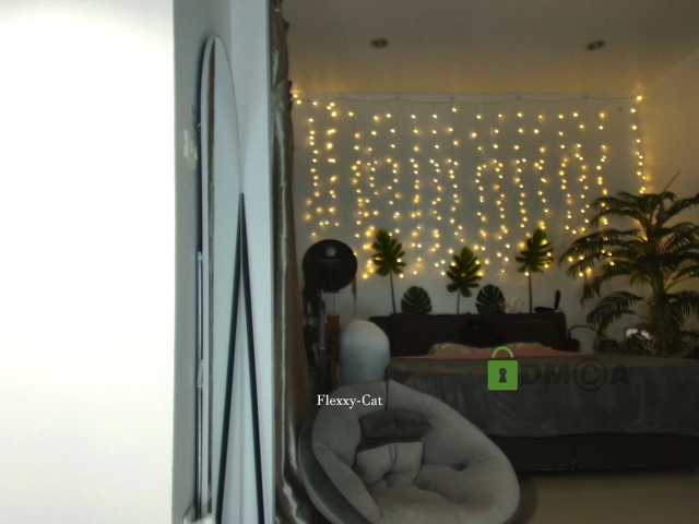 Flexxy-cat live cam