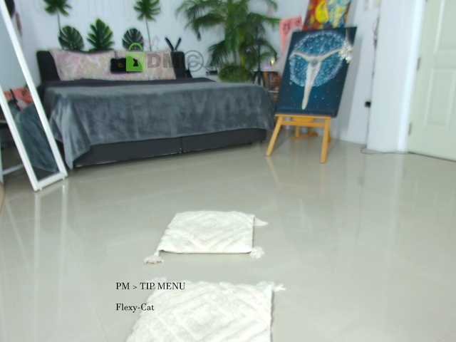 Flexy-Cat live cam on BongaCams