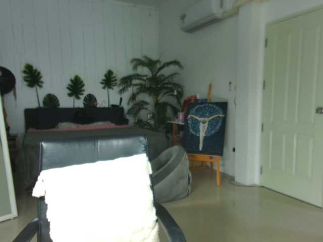 Flexy-Cat live cam on BongaCams