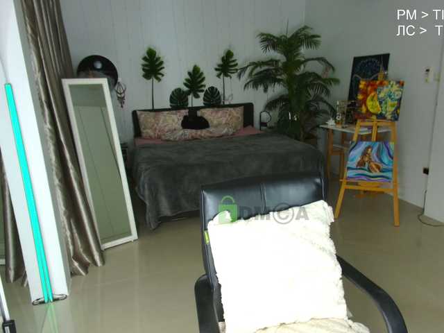 Flexy-Cat live cam on BongaCams
