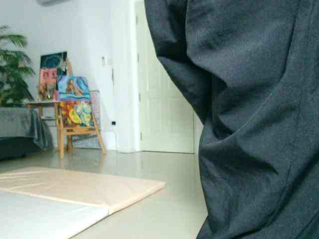 Flexy-Cat webcam