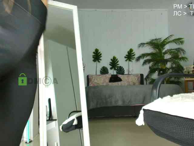Flexy-Cat webcam
