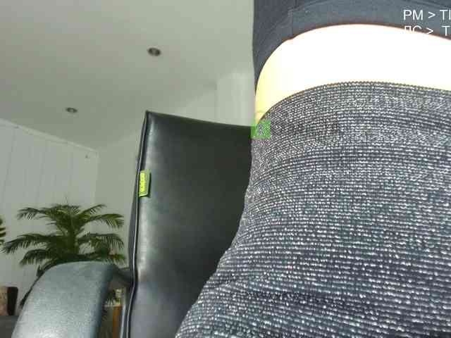 Flexy-Cat webcam