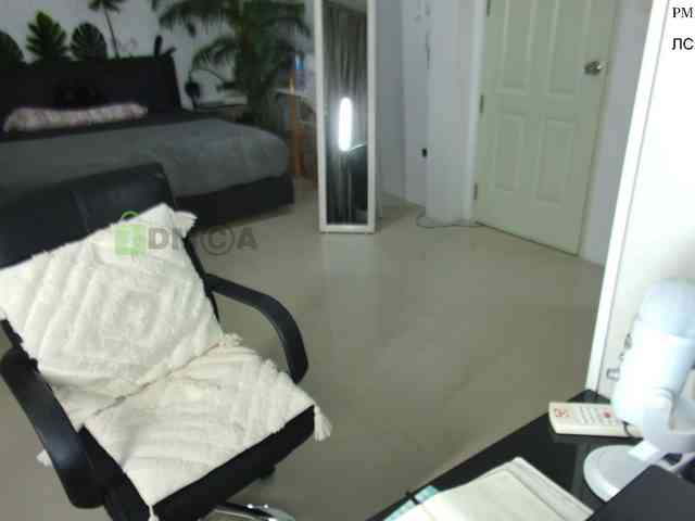 Flexy-Cat webcam