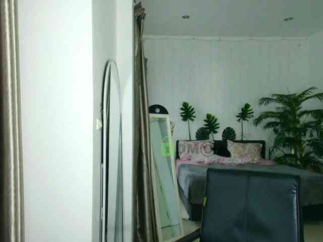 Flexy-Cat webcam