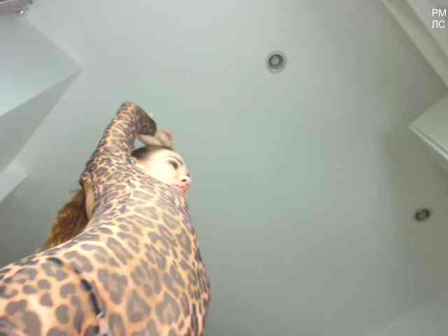 Flexy-Cat webcam