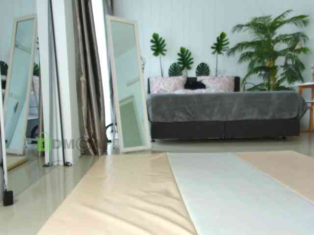 Flexy-Cat webcam