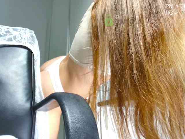 Flexy-Cat webcam