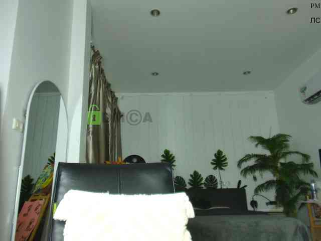 Flexy-Cat webcam