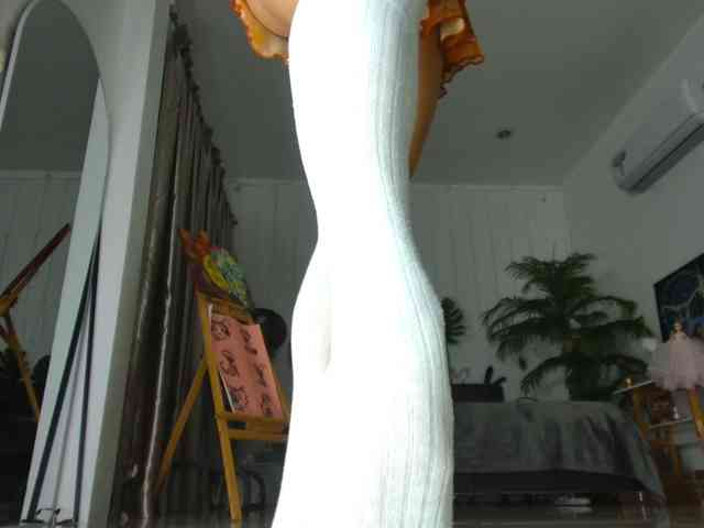 Flexy-Cat webcam