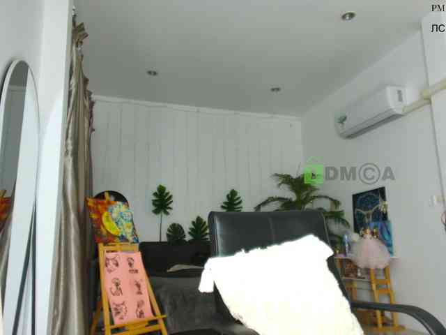 Flexy-Cat webcam
