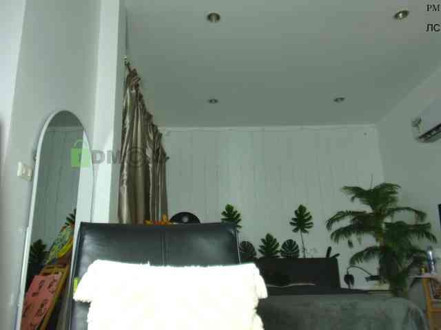 Flexy-Cat webcam