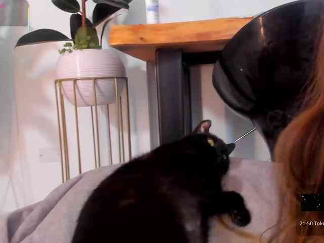 StacyConner webcam