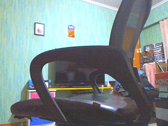 shane42-1 live cam
