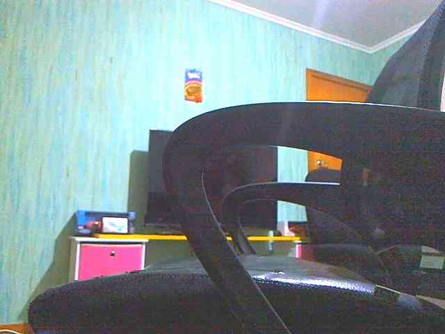 shane42-1