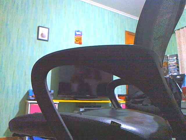 shane42-1