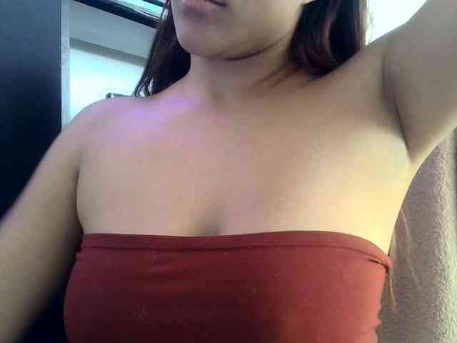 Sofiabrunni webcam
