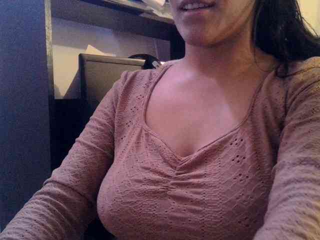 Sofiabrunni webcam