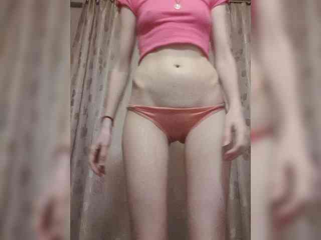 Abogsldndalshekm webcam