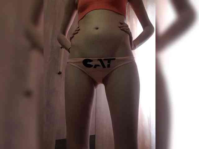 Abogsldndalshekm webcam