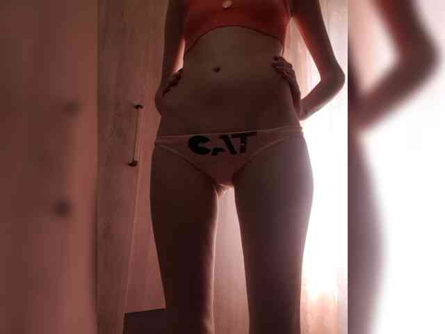 Abogsldndalshekm webcam