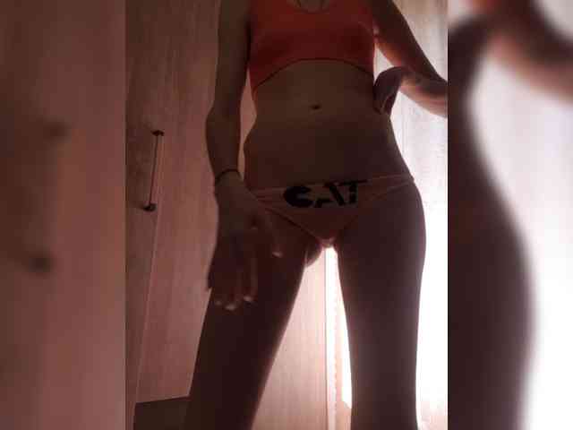 Abogsldndalshekm webcam