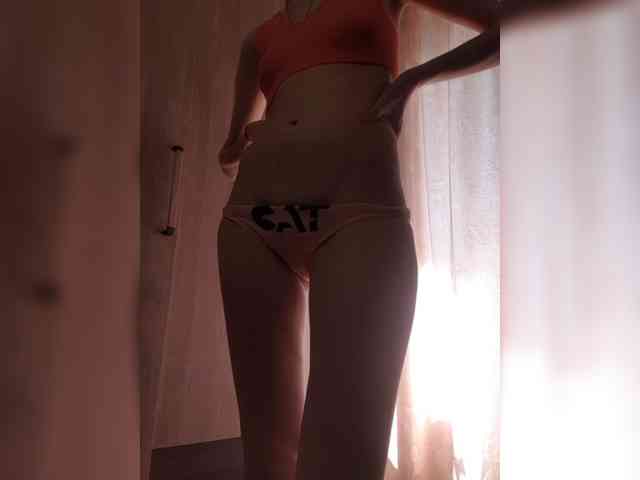 Abogsldndalshekm webcam