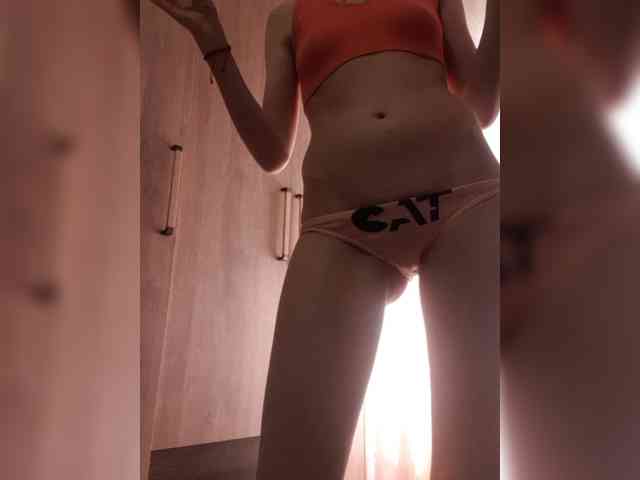 Abogsldndalshekm webcam