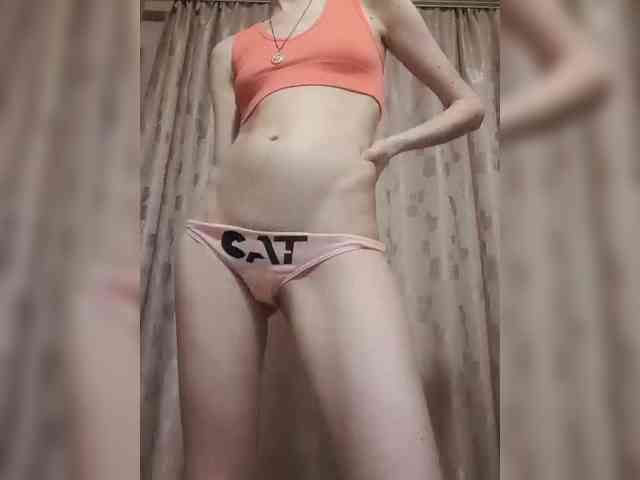 Abogsldndalshekm webcam