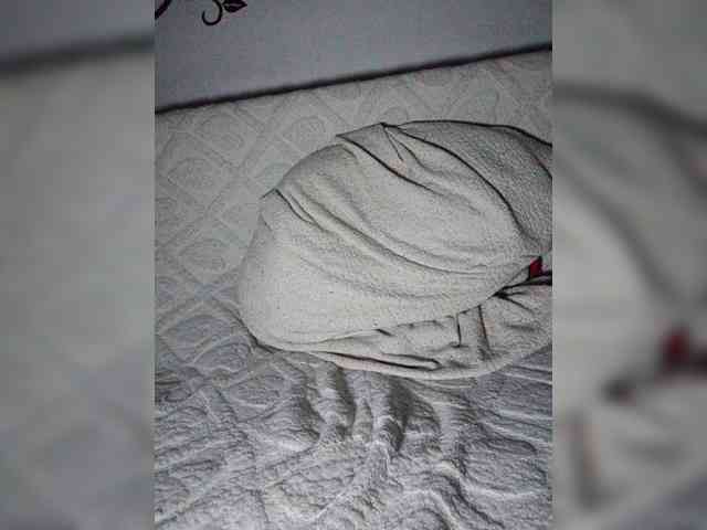 Dasha_kissa webcam