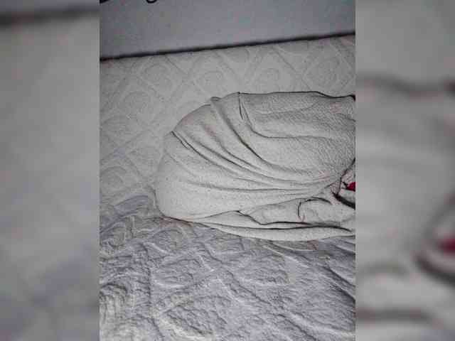Dasha_kissa webcam