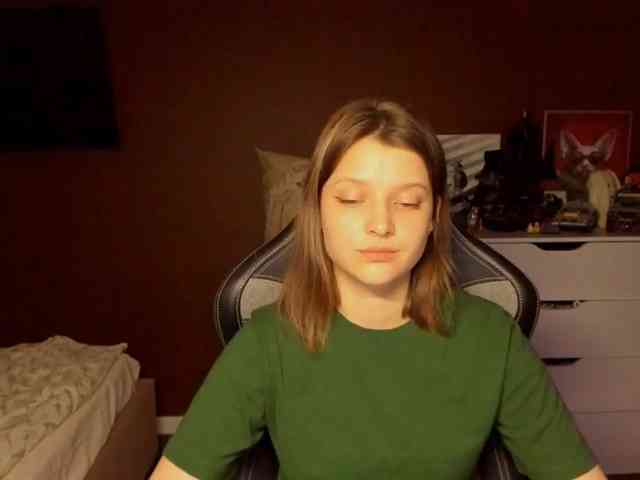 SoniNex webcam