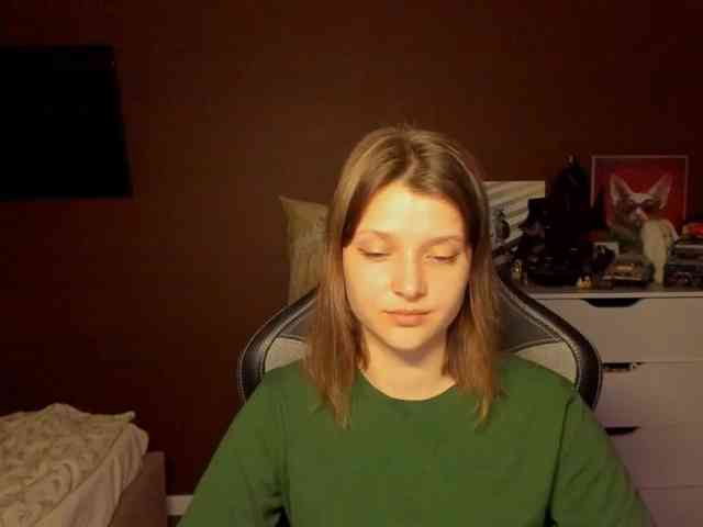 SoniNex webcam