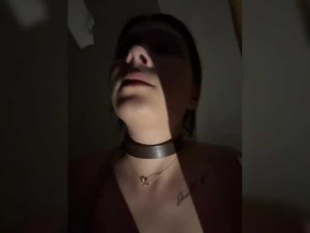 модель XaSeen