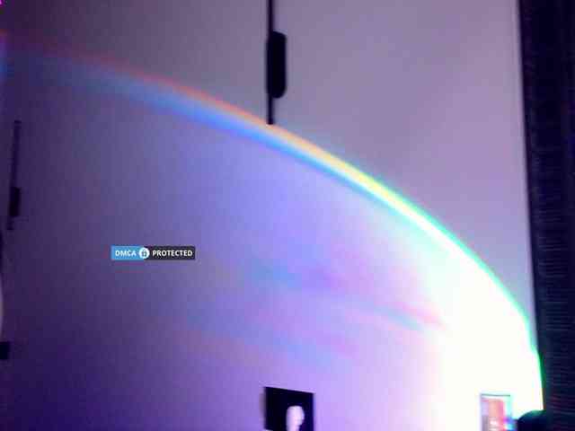 LaffyTafffy webcam