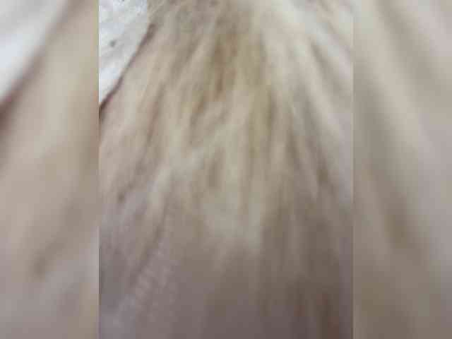 blondinochkaa