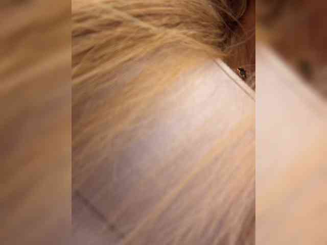blondinochkaa Sex Cam Show
