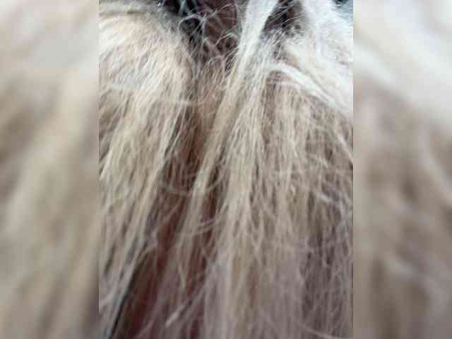 blondinochkaa blondinochkaa
