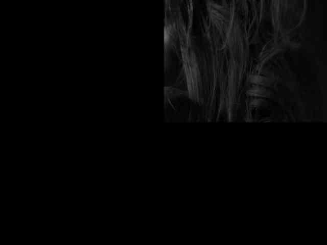 ALVUWKA webcam