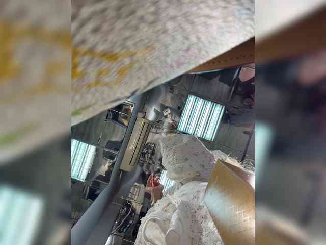 ALVUWKA webcam