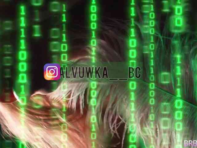 ALVUWKA webcam