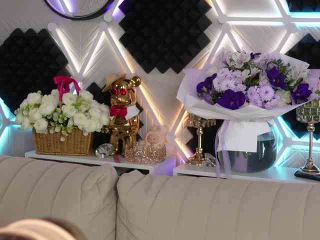 alvuwka's live room