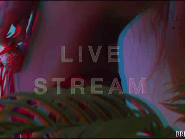 ALVUWKA webcam